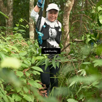 Runner Photo 5120597