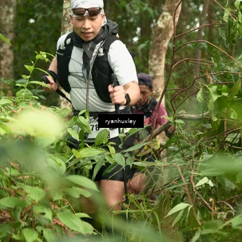 Runner Photo 5120780