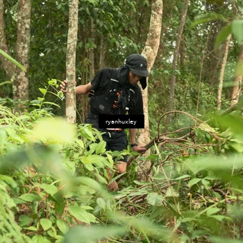 Runner Photo 5120865