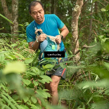 Runner Photo 5120982