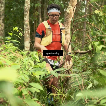 Runner Photo 5121145