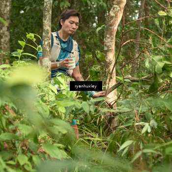 Runner Photo 5121406