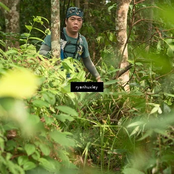 Runner Photo 5122484