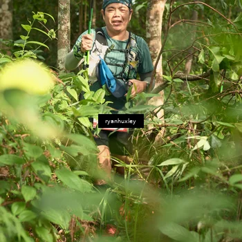 Runner Photo 5122488