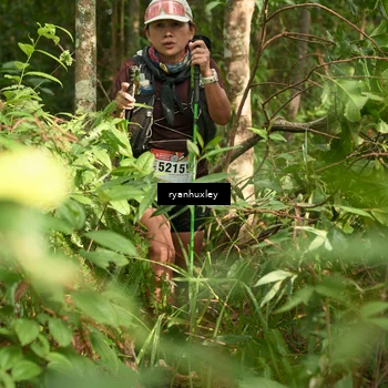 Runner Photo 5122496