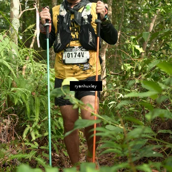 Runner Photo 5123535