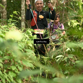 Runner Photo 5123544