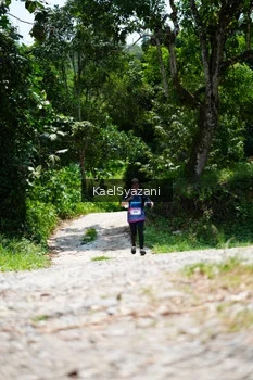Runner Photo 5123671