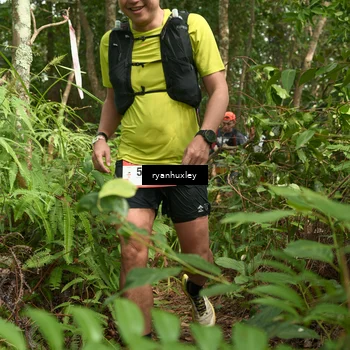 Runner Photo 5124214