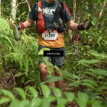 Runner Photo 5124239