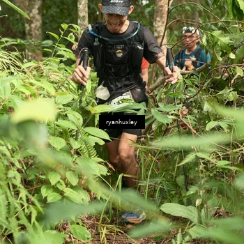 Runner Photo 5124419