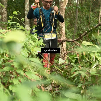 Runner Photo 5124473