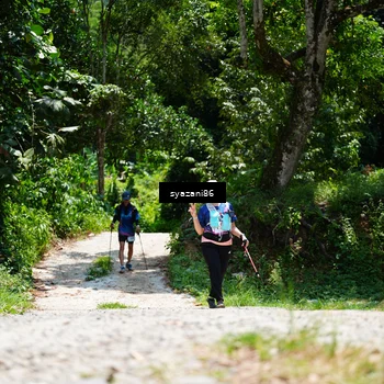 Runner Photo 5124690