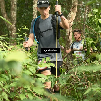 Runner Photo 5124804