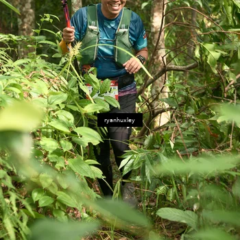 Runner Photo 5125768