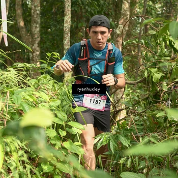 Runner Photo 5126111