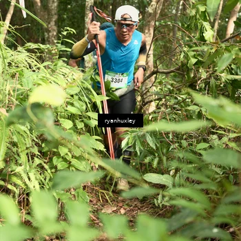 Runner Photo 5126444