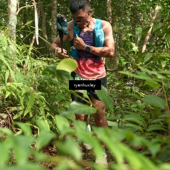 Runner Photo 5126447