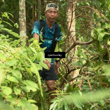 Runner Photo 5126533