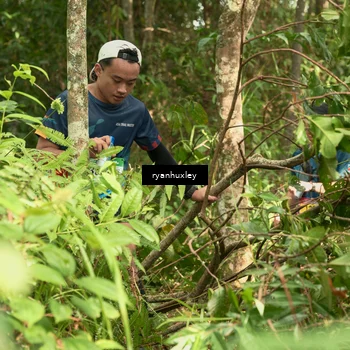 Runner Photo 5126713