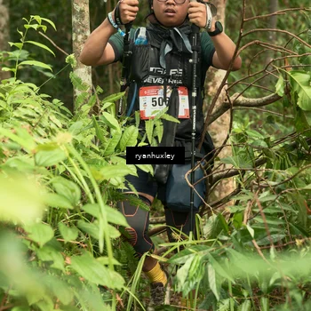 Runner Photo 5127137