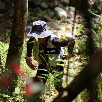 Runner Photo 5127886