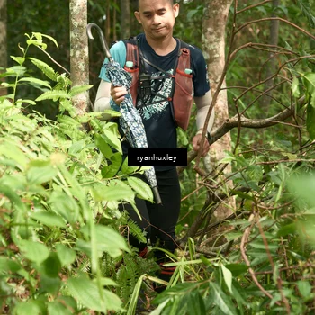 Runner Photo 5128259
