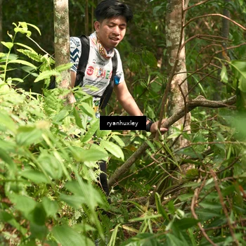Runner Photo 5128355