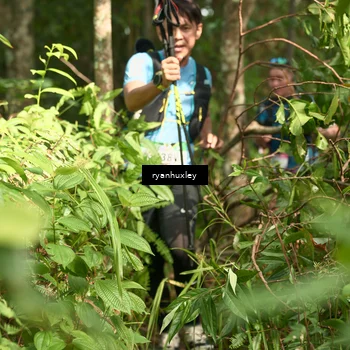 Runner Photo 5128595