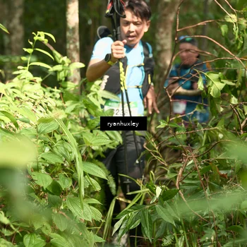 Runner Photo 5128606