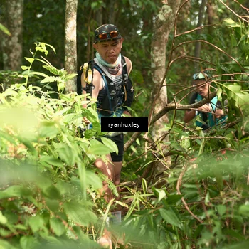 Runner Photo 5128791
