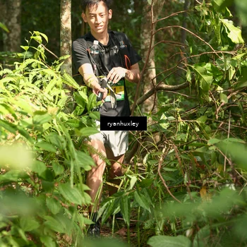 Runner Photo 5129012