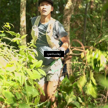 Runner Photo 5129561
