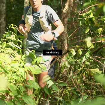 Runner Photo 5129566