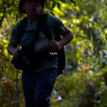 Runner Photo 5129597