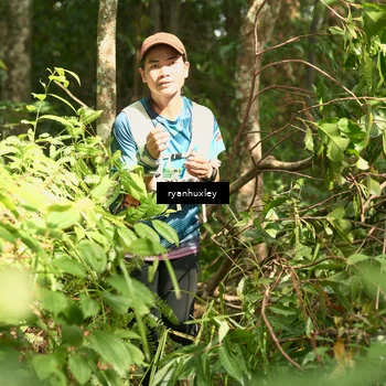 Runner Photo 5129667