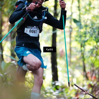 Runner Photo 5129701