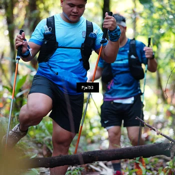 Runner Photo 5129747