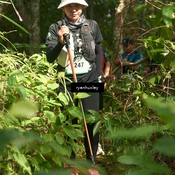 Runner Photo 5129801