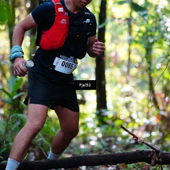 Runner Photo 5131330