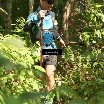 Runner Photo 5131436