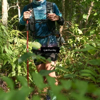 Runner Photo 5131444