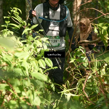 Runner Photo 5131526