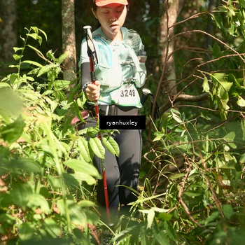 Runner Photo 5131652
