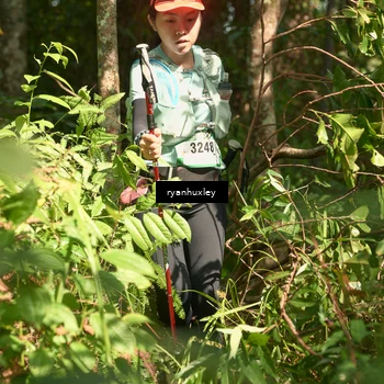 Runner Photo 5131664