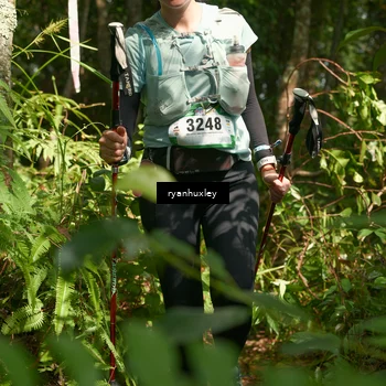Runner Photo 5131689