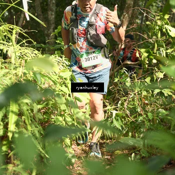 Runner Photo 5131937