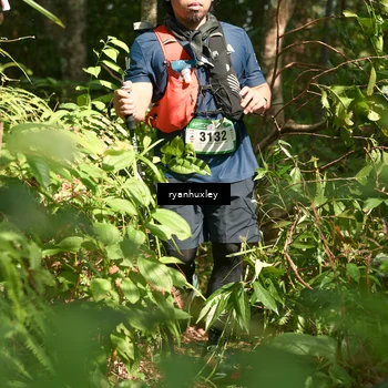 Runner Photo 5131946