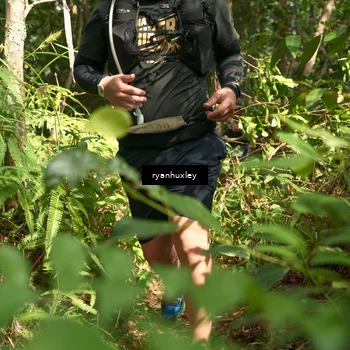 Runner Photo 5132297