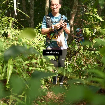 Runner Photo 5132359